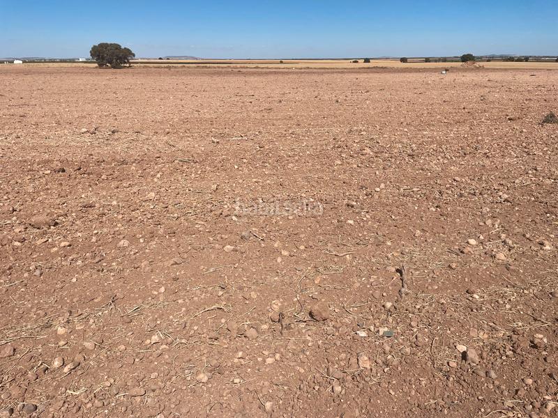 Foto 4646ab9f-b6f8-47e2-b646-b8a7d393adba. Finca rústica en Alcázar de San Juan