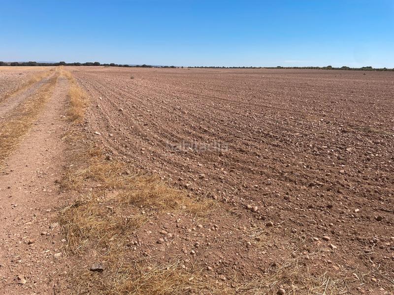 Foto 6544c9d7-3f1f-4cac-bf37-88309a7c0c9f. Finca rústica en Alcázar de San Juan