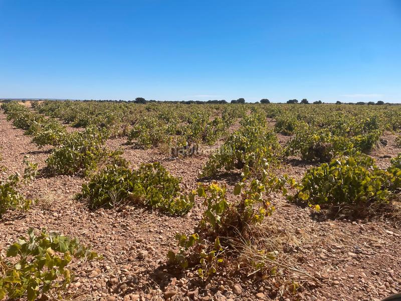 Foto 69fa8fcf-485c-40a3-b7f9-46cc3f6b2f08. Finca rústica en Alcázar de San Juan