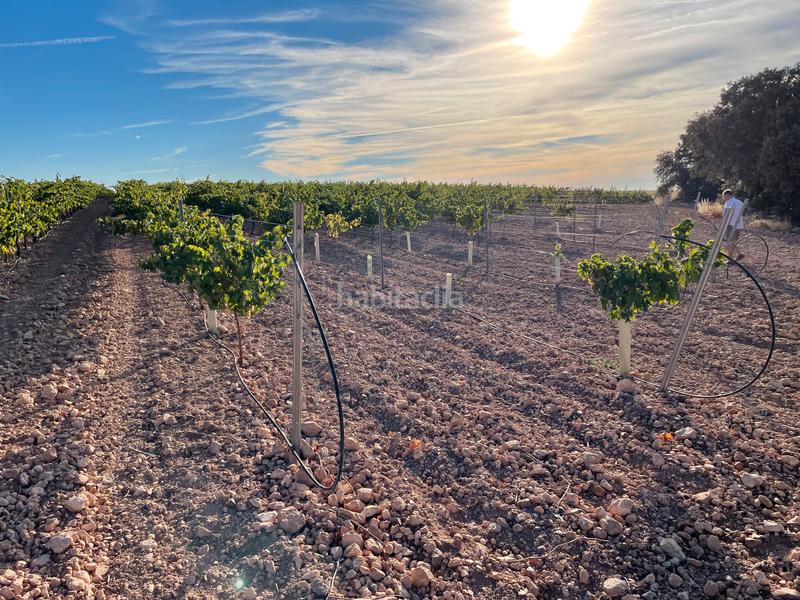 Foto 7481dc8a-655d-4c57-9f16-04183cb36bce. Finca rústica en Alcázar de San Juan