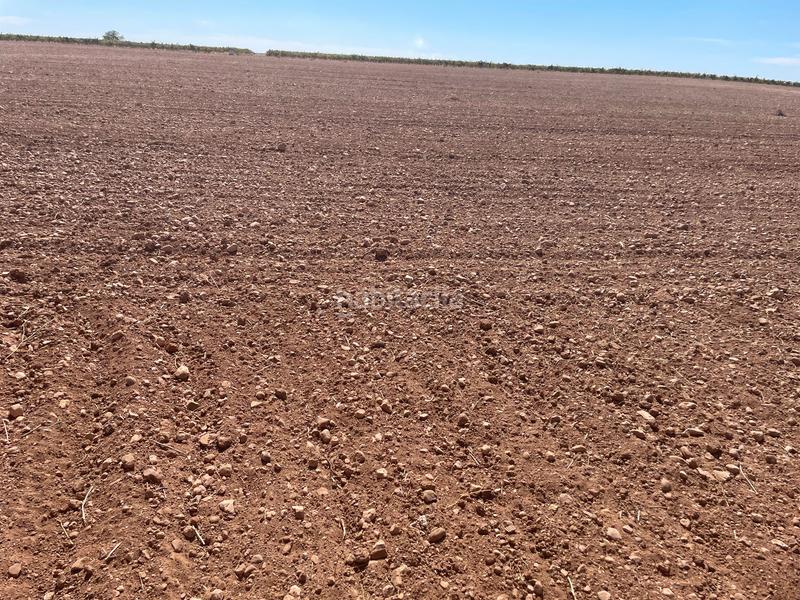 Foto 7d021d32-f401-42a1-813c-fbd3b5269097. Finca rústica en Alcázar de San Juan