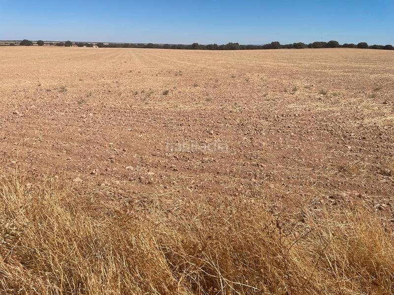 Foto 9b33b865-6f22-4435-b6c8-be8aef75d23d. Finca rústica en Alcázar de San Juan
