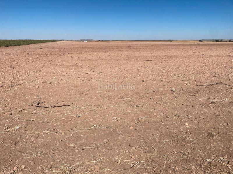 Foto b76304ba-13e9-4cd5-a203-5f72c80e1443. Finca rústica en Alcázar de San Juan