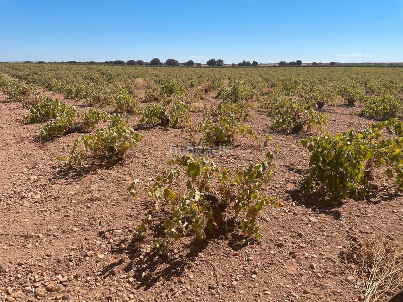 Foto b9549e2e-ad97-4817-a40a-9fcac98a6237. Finca rústica en Alcázar de San Juan
