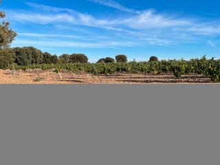 Finca rústica a Alcázar de San Juan