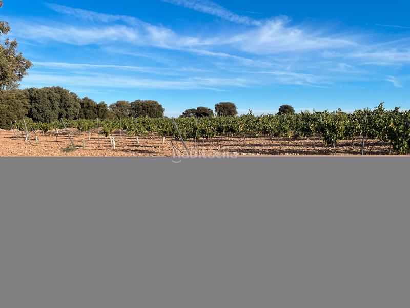 Foto d67c7e4d-5cf9-4a7a-a542-d6f7a47cdbdb. Finca rústica en Alcázar de San Juan