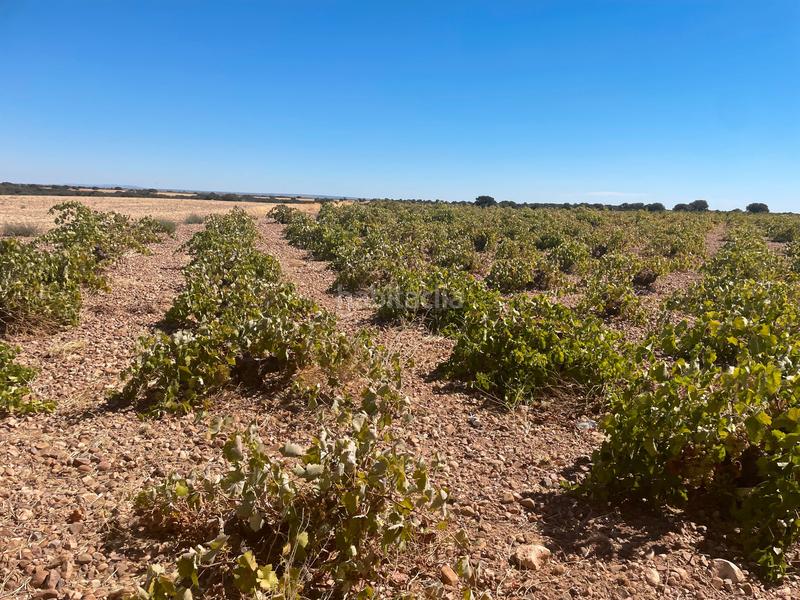 Foto f4257b08-4d7b-40d3-87a3-b458bdf7cc84. Finca rústica en Alcázar de San Juan
