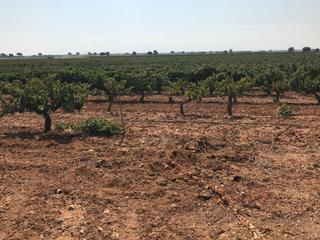 Landgut in Mesas (Las)