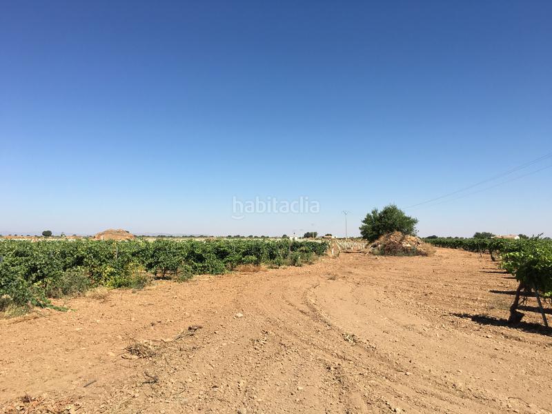 Foto 2ecbd550-6083-46e5-9c1f-c890b5b9ab81. Finca rústica a Oso (El)