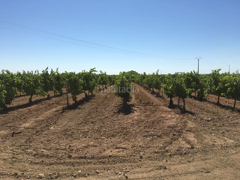 Foto a0a2d305-14ef-448d-a908-40c6f0329ccf. Finca rústica a Oso (El)