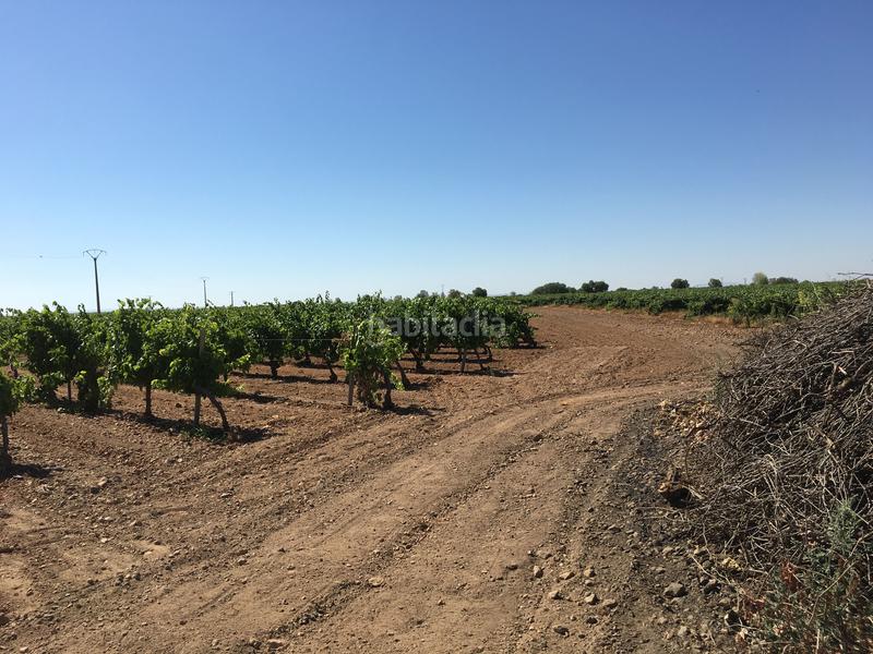 Foto acd55697-cbb6-45eb-9008-2ab11ac4812b. Finca rústica a Oso (El)