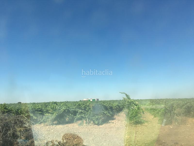 Foto b3c0c8de-4e37-4223-9406-abb809525297. Finca rústica a Oso (El)