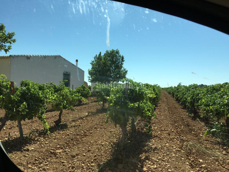 Foto c1866d4f-6401-43cf-a656-36a545095654. Finca rústica a Oso (El)