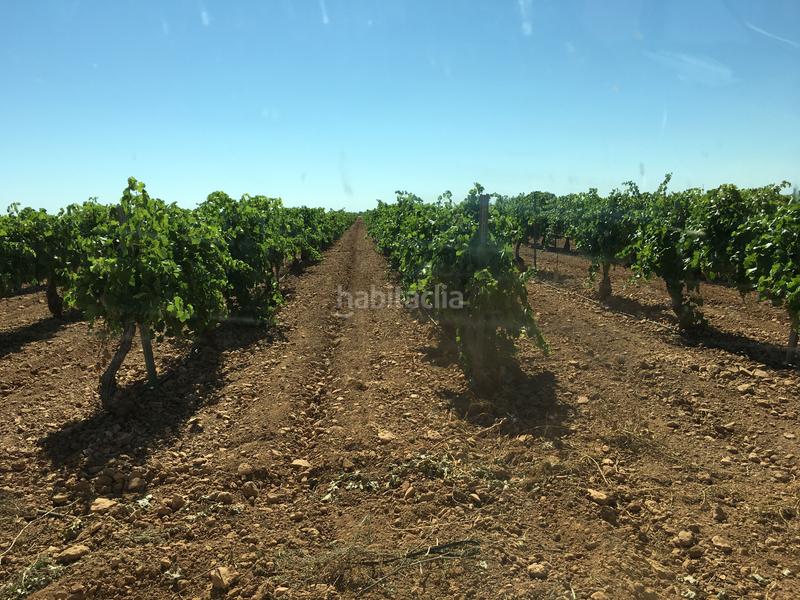 Foto d7e7f96b-45ae-4444-bd38-65f212f9d370. Finca rústica a Oso (El)