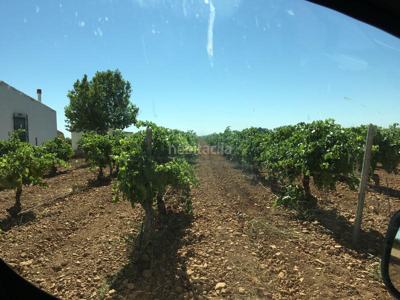 Foto f2746e4e-fb85-4999-bdaa-8974e221c7c8. Finca rústica a Oso (El)