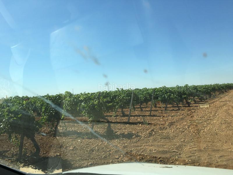 Foto fae2a279-b08a-4085-b3cd-18793593b09d. Finca rústica a Oso (El)