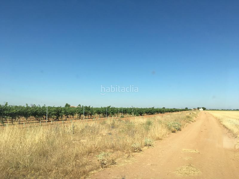 Foto fb038af8-b359-4119-b2f2-84b0ece0e6d8. Finca rústica a Oso (El)