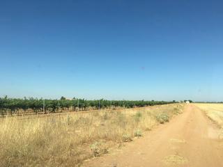 Finca rústica a Oso (El)