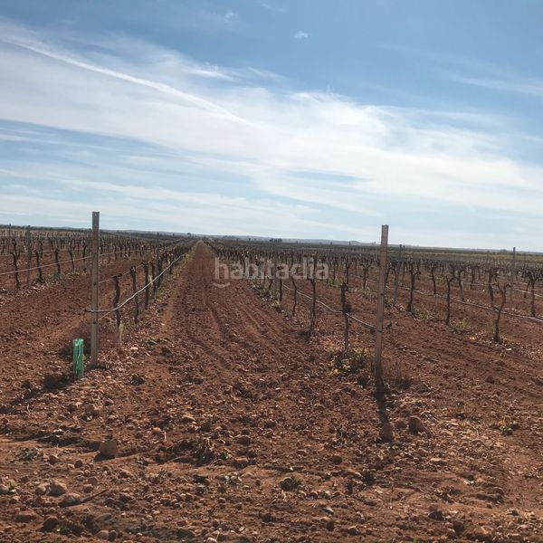 Foto 00f4dff1-74e8-457f-8c0a-bc1fb33e88da. Finca rústica en Tomelloso