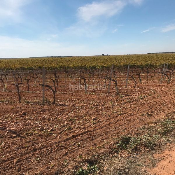 Foto 0fa435c4-73b2-4ed5-8416-ede258abf72f. Finca rústica en Tomelloso