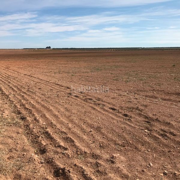Foto 1ae9d467-bc40-4e83-9888-7d90f219c776. Finca rústica en Tomelloso