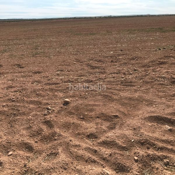 Foto 300c8359-82c3-4361-b61c-032490fc49b3. Finca rústica en Tomelloso