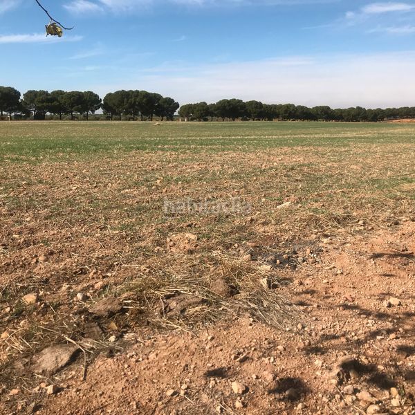 Foto 4d6f0166-baa5-4b3c-9528-81795568ce5d. Finca rústica en Tomelloso