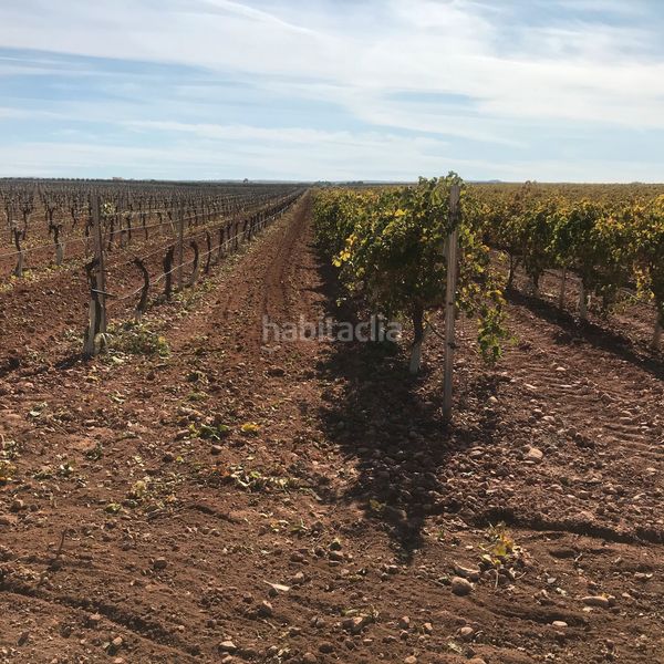 Foto 54da882d-c65c-4d12-bd82-693a4d3a558f. Finca rústica en Tomelloso