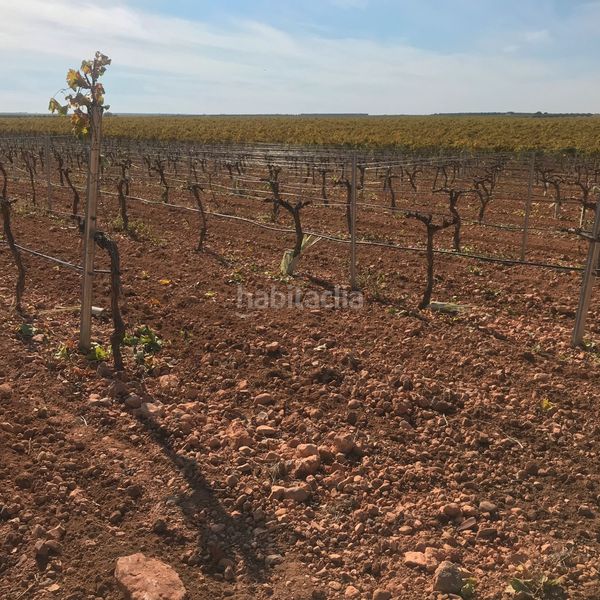 Foto 6a33b7ac-3728-4dca-b1db-5f5aa0ad5a48. Finca rústica en Tomelloso