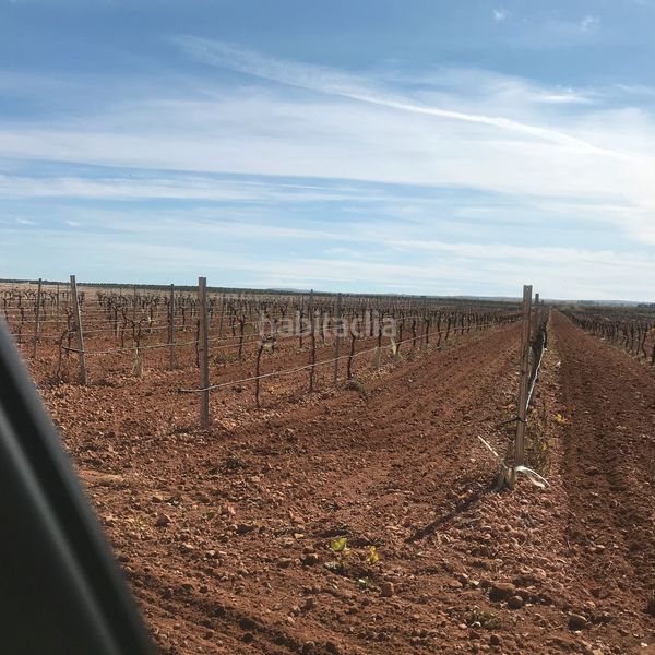 Foto 88e99ce8-3319-42e5-87d2-958d6511172d. Finca rústica en Tomelloso