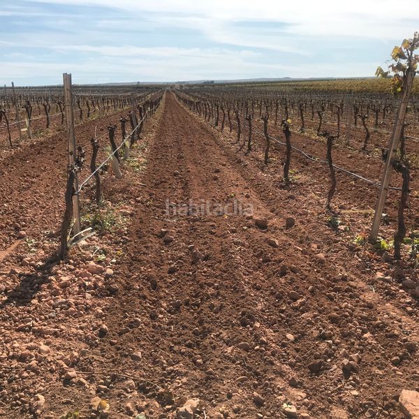 Foto 90b70c80-9ab5-4bfd-a4a4-178198592e53. Finca rústica en Tomelloso