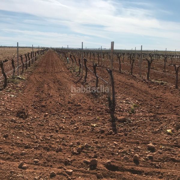 Foto 998164d8-a3b8-470a-a64c-912b92a73a99. Finca rústica en Tomelloso