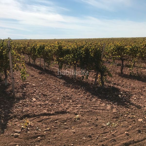 Foto a6d58815-19e3-4d64-954a-6bc120cda9be. Finca rústica en Tomelloso