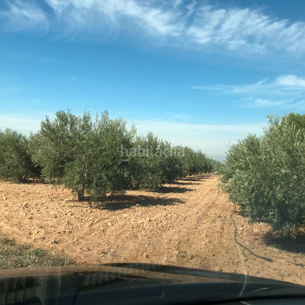 Foto ac5947c8-f047-4a85-b25b-86f24c0ed820. Finca rústica en Tomelloso