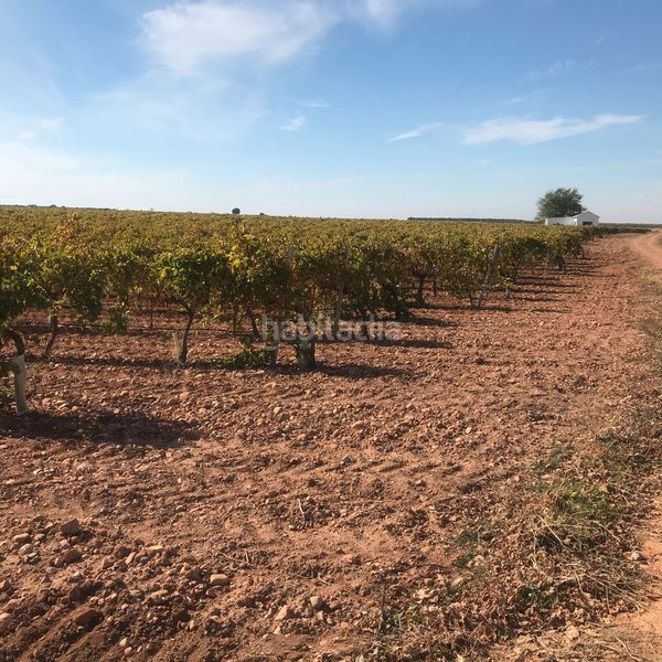 Foto b47a8c31-f1be-42d0-ba06-12272cb9eec2. Finca rústica en Tomelloso