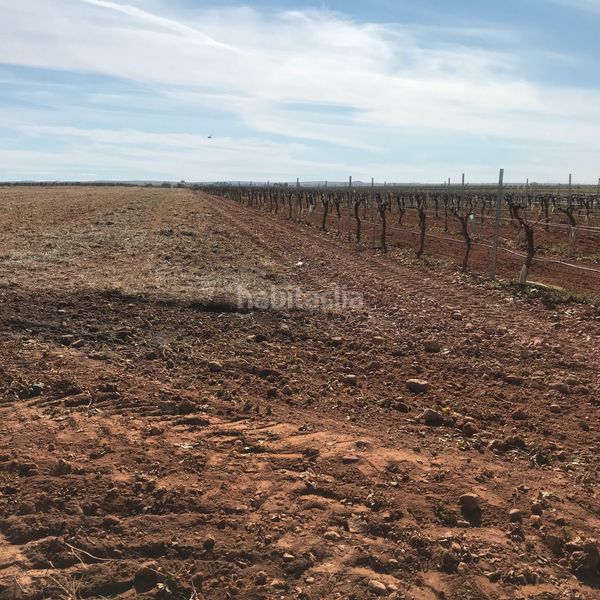 Foto bbd68e6a-72a9-40a7-baa7-bd91199b7c3e. Finca rústica en Tomelloso