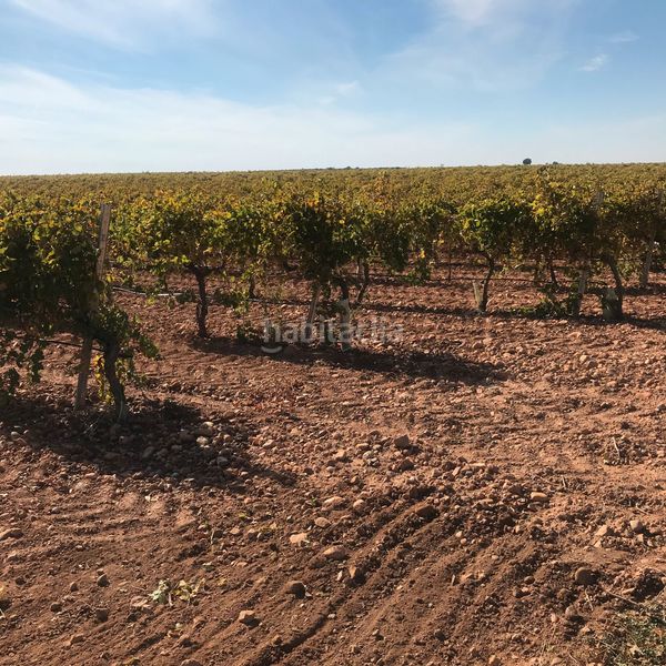 Foto bef9c3aa-3279-4820-b760-a950eb089962. Finca rústica en Tomelloso