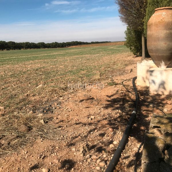 Foto c7cdc65c-93b7-4adc-a8bf-cca762c67011. Finca rústica en Tomelloso