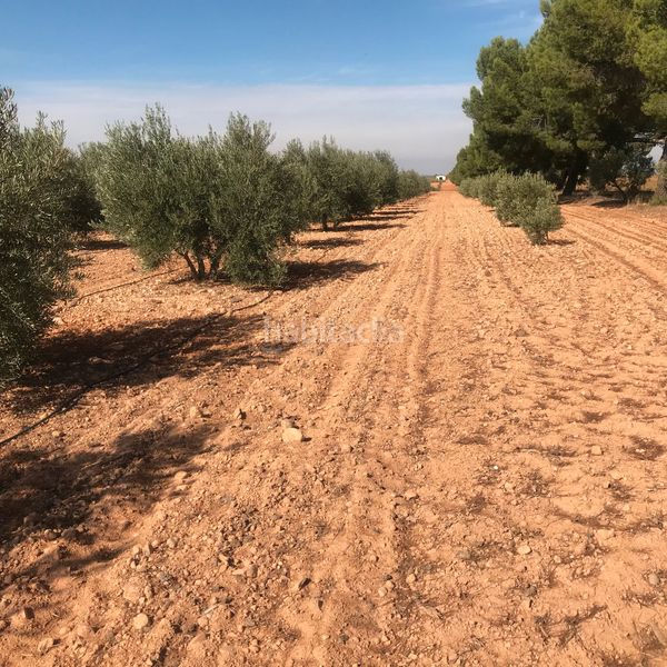 Foto ca1b1742-ea41-41ad-921a-596f7fcc981b. Finca rústica en Tomelloso