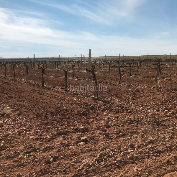 Foto d069738f-5f38-44d5-8fc8-30ac9672ce0e. Finca rústica en Tomelloso