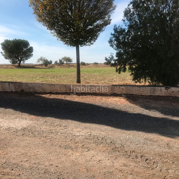 Foto d6b7ae71-48e8-49c8-a1e8-7ac4fb9f5f96. Finca rústica en Tomelloso