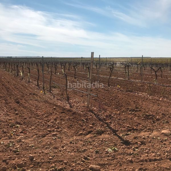 Foto e91d8108-de22-4d7e-8fa2-4c8934a248b0. Finca rústica en Tomelloso