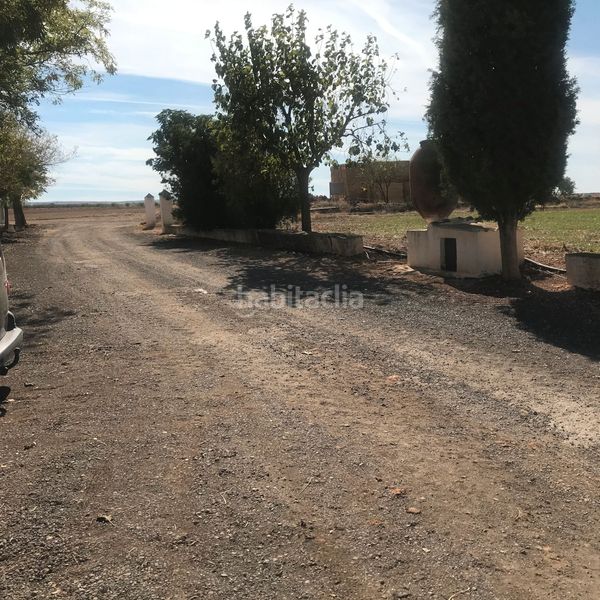 Foto ee024ba3-67cb-4a31-9fa3-0183cfab9457. Finca rústica en Tomelloso