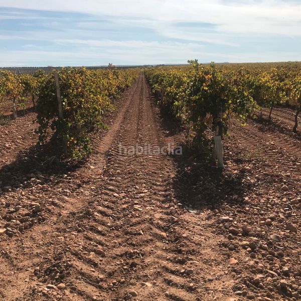 Foto fb78099b-848d-4ff3-a0d3-bce761debfb7. Finca rústica en Tomelloso