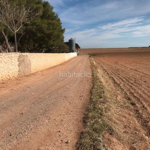 Foto fbe0a480-400b-46db-bd01-a6ec30a07b48. Finca rústica en Tomelloso