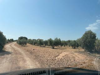 Finca rústica a Tomelloso