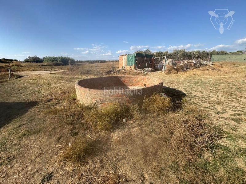 Foto 252bfef6-cf33-4e44-afec-c552af09cd1e. Propriété dans La Hispanidad - Verdeluz Huelva