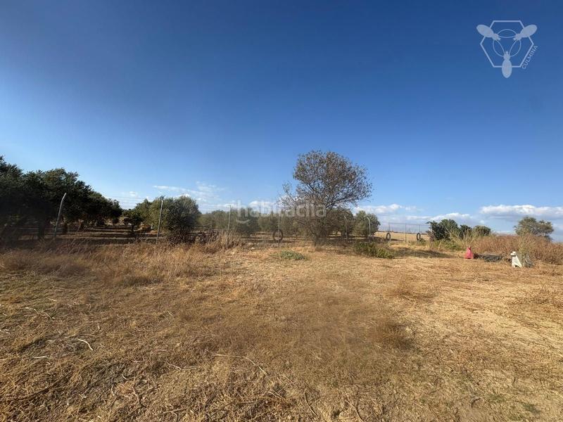 Foto decb93a9-128f-4e6b-a485-49bd61ae9dbc. Propriété dans La Hispanidad - Verdeluz Huelva