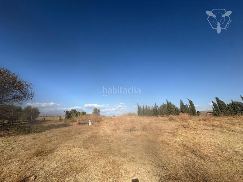 Foto e8677b74-3bc1-4a5e-abb5-ed2e0242babf. Propriété dans La Hispanidad - Verdeluz Huelva