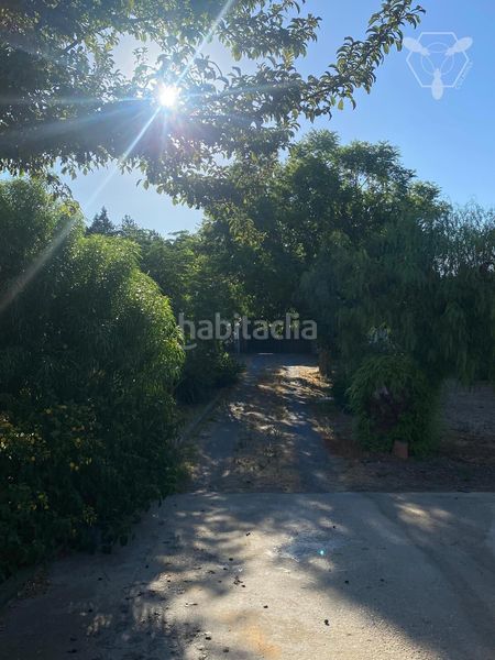 Foto 32310f01-3d4a-4a80-9959-2a98c0d360ca. Casa  de campo gibraleon en Gibraleón